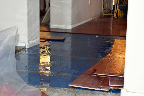 Professional Burst Pipe Cleanup technician working in Woburn, MA